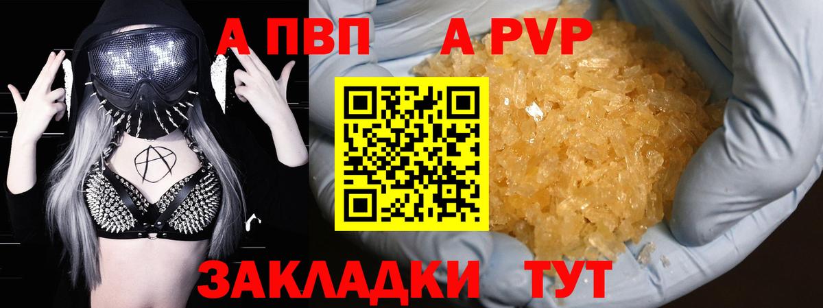 Альфа ПВП СК КРИС Владимир